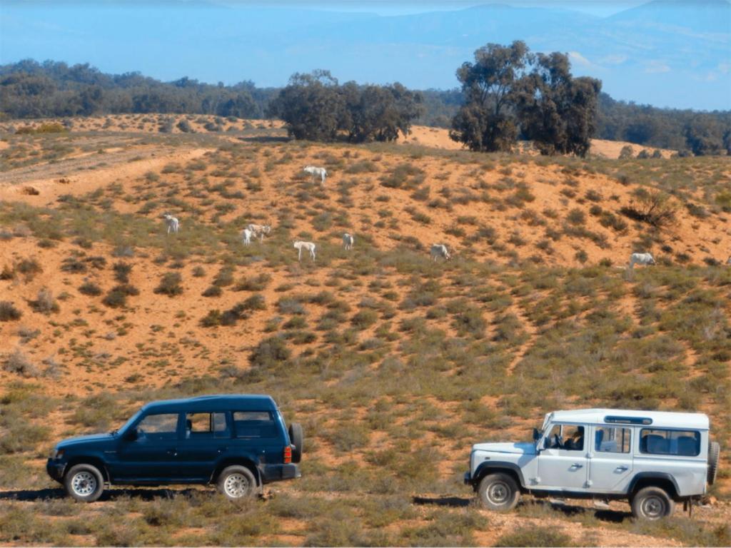 Camping Wassay Beach Sidi Ouassay Kültér fotó